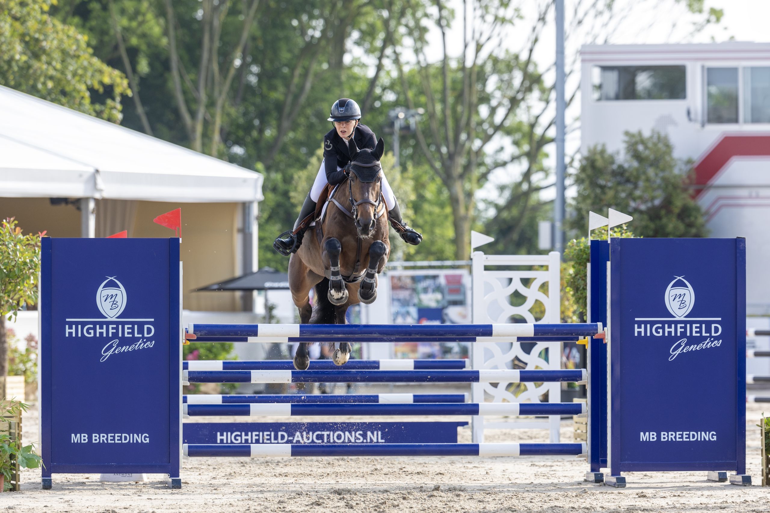 Orange Lady van de Hagenhorst – Bobbi Hulsenbeck