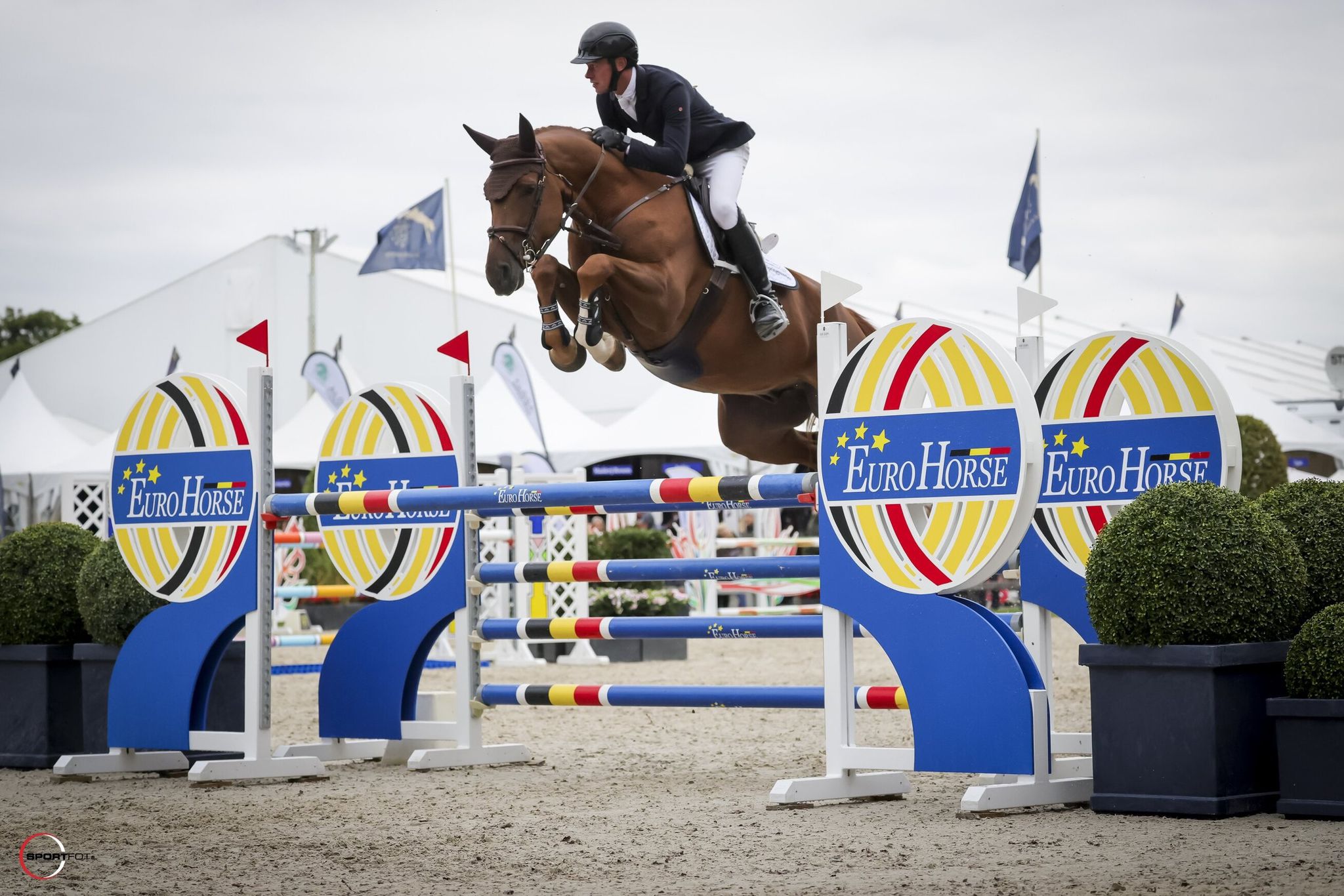 Ulex – Bart van der Maat